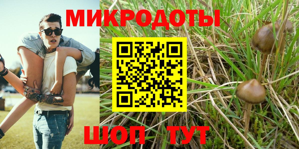 даркнет сайт  Псилоцибиновые грибы Cubensis  Вход с VPN  Железногорск 